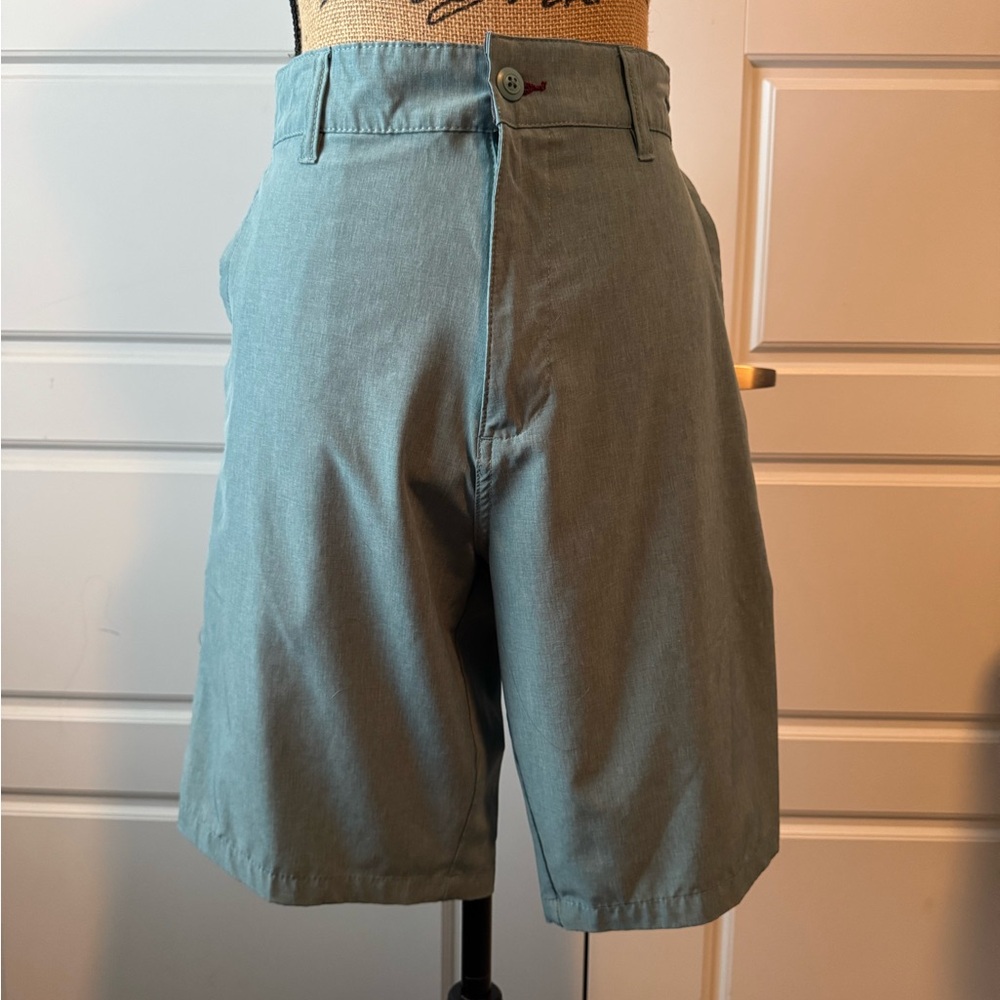 Burnside Men's Blue/Green Shorts